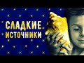 СЛАДКИЕ ИСТОЧНИКИ НЕИЗВЕДАННЫХ ПУТЕЙ | Париж, Франция. брат Роман