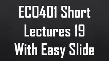 ECO401 Short Lecture 19