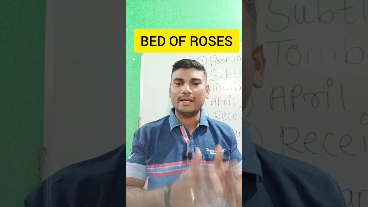 what is the meaning of Bed of roses with example 