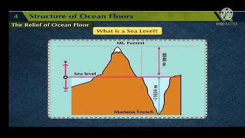 Std : 8. Sub : Geography. Ls no: 4. Structure of the ocean floor.