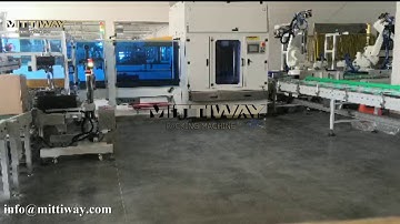 Bag inserter bag decuffer work with ABB robot packaging line/carton erector/box sealer/Robot