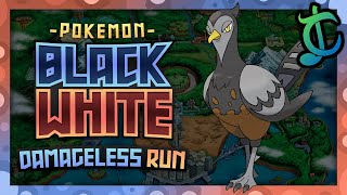 Can You Beat Pokémon Black/White Without Taking Damage?