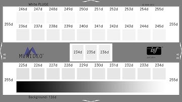 Murideo White Pluge Test Pattern 8K 60fps