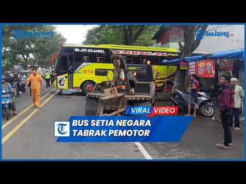 Detik-detik Kecelakaan Bus Setia Negara Tabrak Pemotor, 2 Meninggal