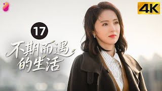 [4K Multi-sub]《不期而遇的生活》第17集丨董璇 张铎 丁勇岱 王丽云 聂远 张晞临 潘阳 Life Optimal Solution EP17
