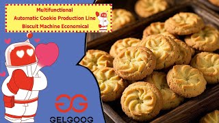 Celebrity Multifunctional Automatic Cookie Production Line Biscuit Machine Economical Wealth