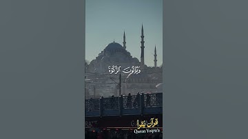 ان الله عزيز حكيم #سورة_التوبة #القرآن_الكريم #فارس_عباد #اكسبلور #راحة_نفسية #لايك #تلاوة_خاشعة