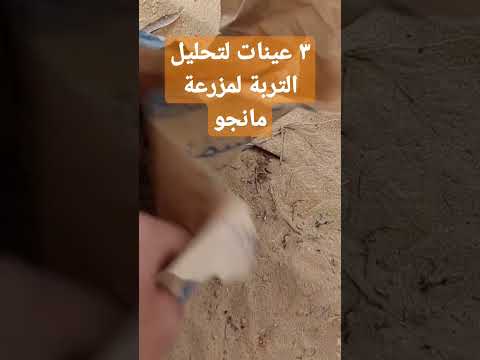 أخذ 3 عينات تربة مزرعة مانجو تحليل عناصر ملوحة فطريات فيزيائي و كيميائي مانجو العرب