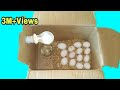 How to make egg incubator at home without temperature controler  incubator for chicken eggs