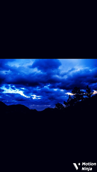 warriyi - Mortals (lyrics) | Status | Aesthetic # wortals  #relaxing # lyrics # short