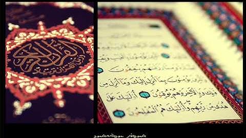 سورة الهمزة بصوت القارئ ياسر الفيلكاوي