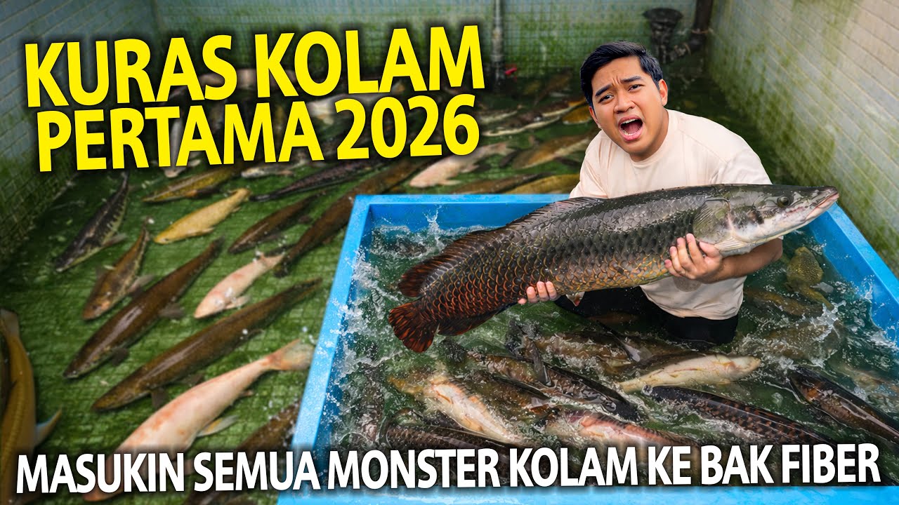 KURAS KOLAM PERTAMA DI 2026! MASUKIN SEMUA IKAN KE BAK FIBER BUAT DI CEK!