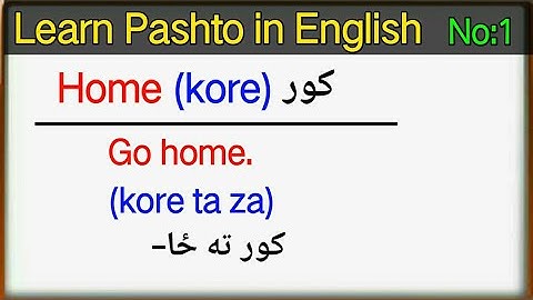 (With urdu subtitle) English to Pashto sentences with words lesson 1 | learn pashto language