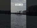 riding the lake #shorts #boat #fishing #fish #boating #life #water #caddolake #lake #fun
