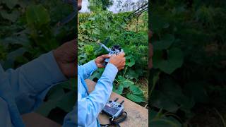 DJI Drone Fold RC Photo Demo || DJI Mini 5 Pro  #djidrone #dji #djimini5pro #mini5pro #shorts