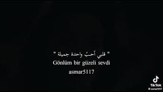 Seni ölesiye seviyorum ve Allah'a yemin ederim ki, Allah beni senden mahrum etsin ya Rabbi ☹️
