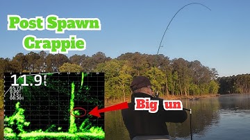 Post Spawn Crappie Fishing - Fish Everywhere!!