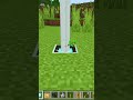 minecraft tiktok hacks #minecraft #tiktok_hacks #shorts #blockgamer02