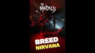 Aludi Bass Cam The Bandells - Breed (Nirvana Cover) @ Indonesian Ritmis 2023