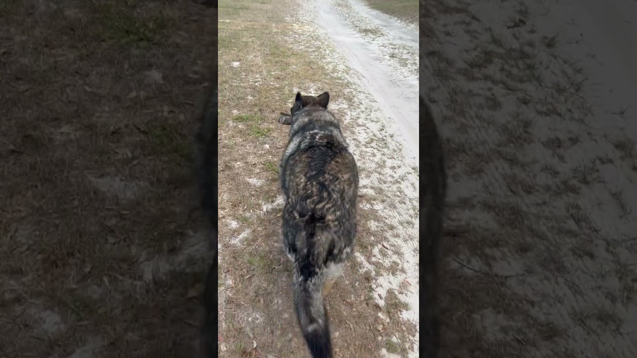 Gabby doesn’t like to share 