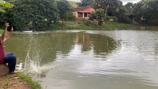 O pulo dos tambaquis gigantes (pesca com anzol automático).