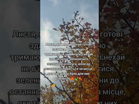 Осінь остання прекрасна посмішка року втоп україна осінь війна зсу врек Plants мир я