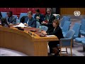 UN Special Representative briefs Security Council (Political)