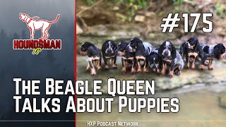 The Beagle Queen Talks About Puppies | HXP #175