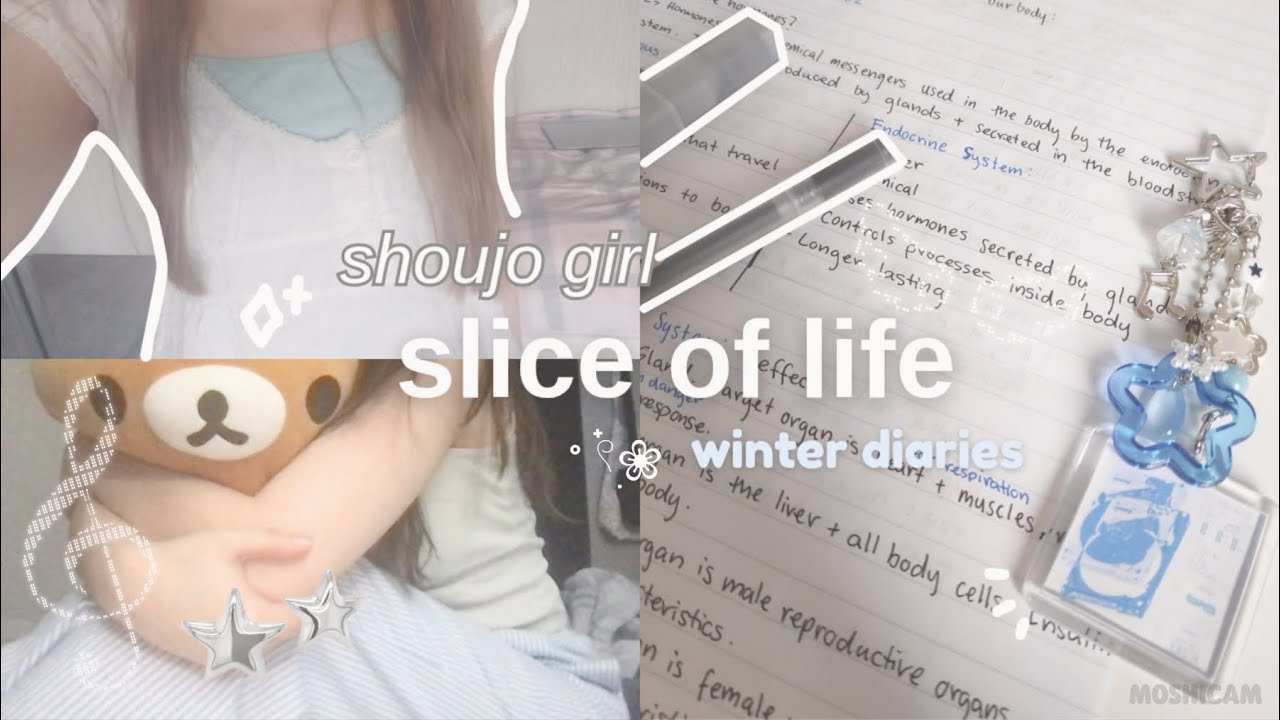 shoujo slice of life 𖦹°‧𝄞₊ ⊹ 💭 productive cozy days, study vlog, winter diaries | ep.1