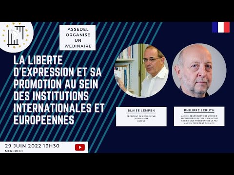 La liberté d'expression et sa promotion dans les institutions internationales et européennes