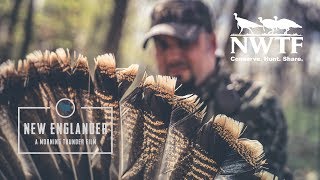 New Englander - National Wild Turkey Federation - A Morning Thunder Original Film