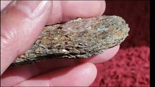 Muscovite Schist