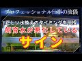 【週に1度の水換え頻度で大丈夫?】プロがお店の水槽で実践している最適な水換えタイミングを完全解説!飼育水が悪化しているサインの見つけ方もご説明します。