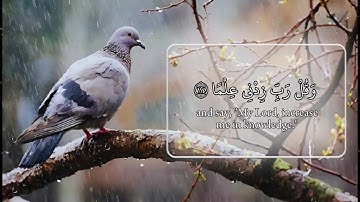 ﴿ وَقُل رَّبِّ زِدْنِي عِلْمًا ﴾ سورة طه ناصر القطامي #ناصر_القطامي || على مكث ||