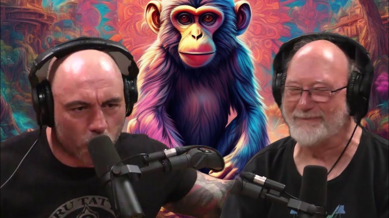 Stoned Ape Theory | Joe Rogan #shorts #joerogan #podcast #science # ...