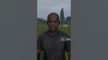 DayZ in a nutshell #shorts #dayz