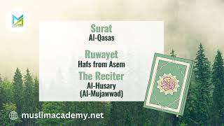 28 Al Qasas