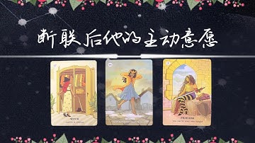 斷聯後他的主動意願如何？狀態？想法？(字卡)|斷聯|分手|卡頓|冷戰|塔羅占卜|
