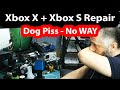 Xbox one X no signal and Xbox one S Repair - Dog piss... Seriously