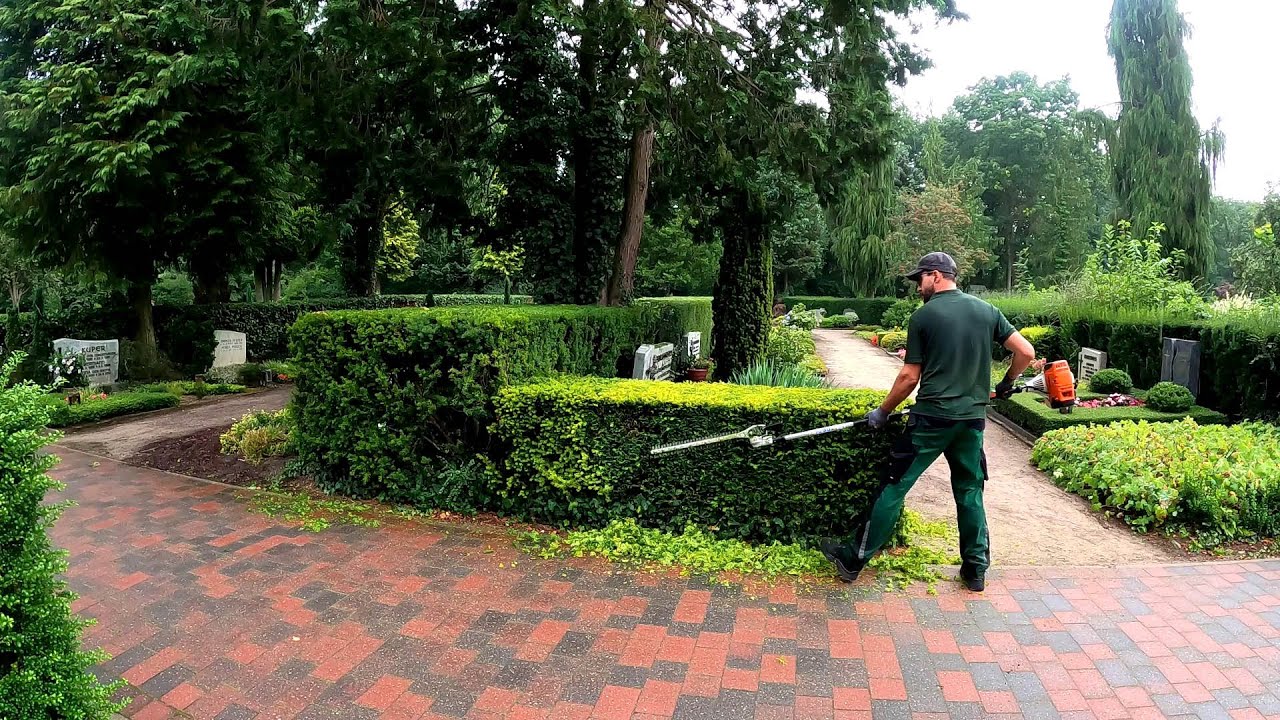 EXCELLENT SATISFYING in the Cemetery PRUNING of Hedges - YouTube