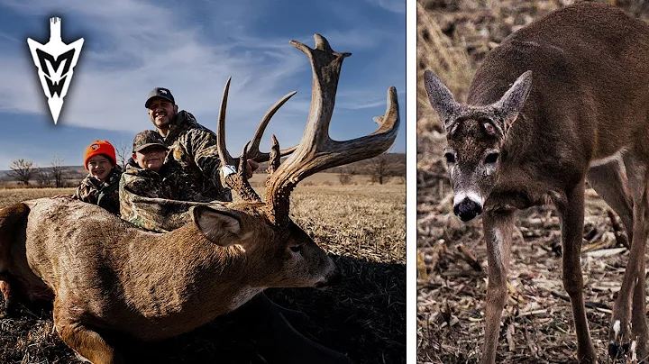 Giant Iowa 8 Point, Why Bucks Are Shedding Early | Midwest Whitetail