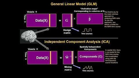 OHBM 2025 | Educational Course | Brain Modes, Components, and Gradients | Part 3