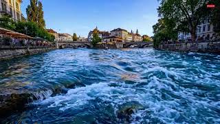 Healing River ASMR - Soothing Water Flow Sounds for Stress Relief and Better Sleep