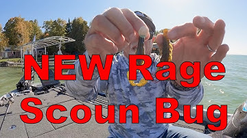 Bill McDonald talks about the NEW Rage Scoun Bug
