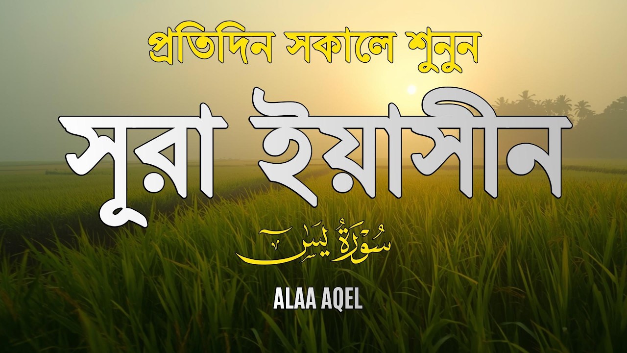 প্রতিদিন সকালে শুনুন – মন জুড়ানো কণ্ঠে সূরা ইয়াসিন | (سورة يس) Surah Yasin | Morning Tilawat