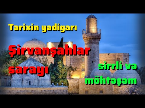 Video: İddiasız akvarium yayın balığı tarakatum