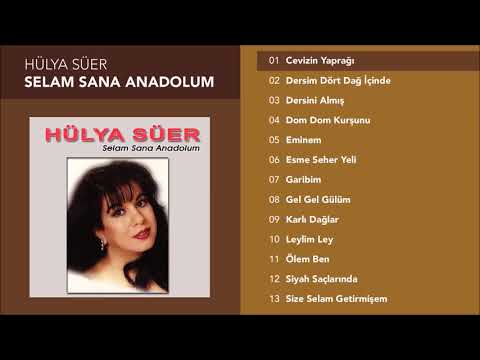 Cevizin Yaprağı - Hülya Süer