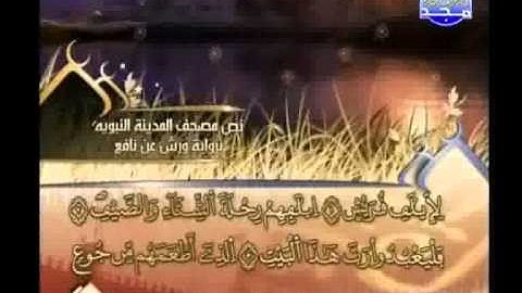 العيون الكوشي - سورة قريش