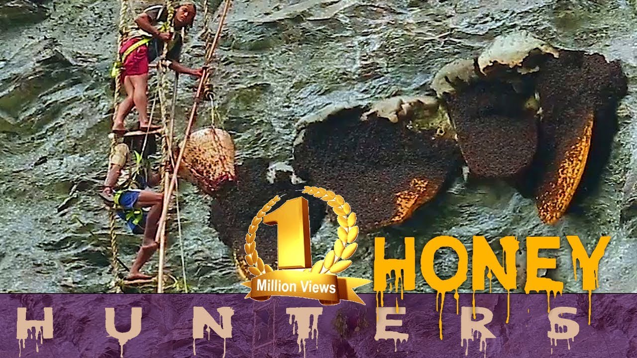 Honey Hunting in Myagdi Nepal || Most Scaring & Dare to Death