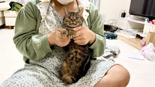 女友達に好き放題され抵抗できずされるがままになってしまった猫w